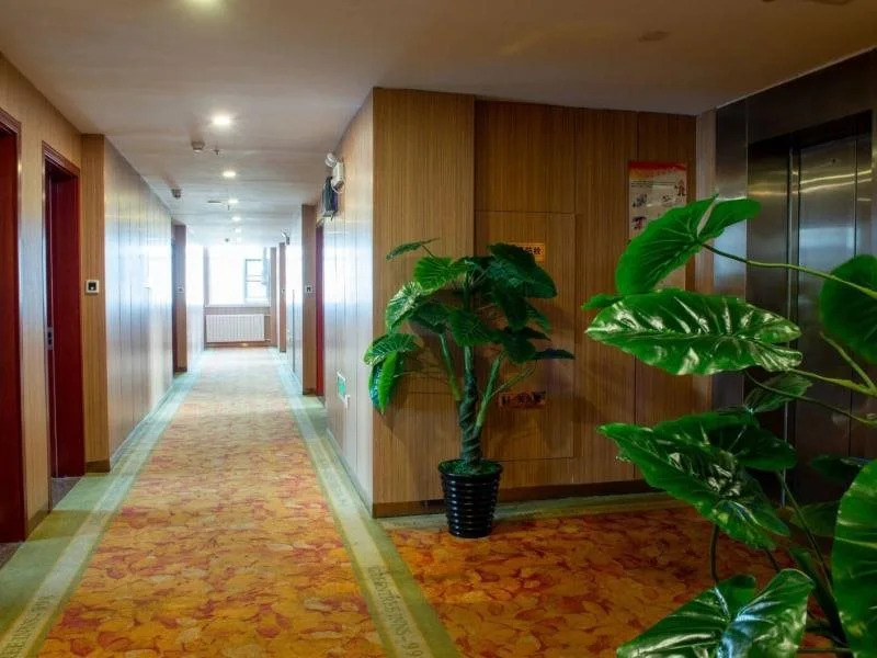 GreenTree Inn Tianjin Wuqing YongyangWRoad Renmin Hospital Express Hotel