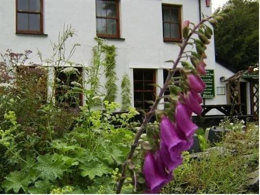The Exmoor Forest Inn