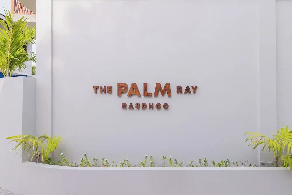 The Palm Ray
