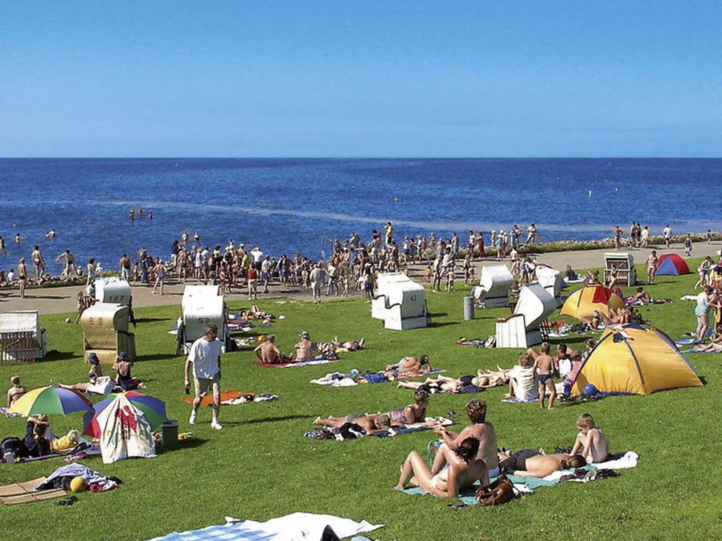 Nordsee-Ferienhaus 10250