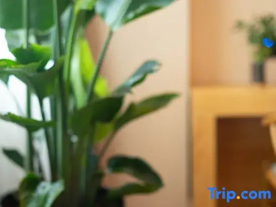 Tianyuan Culture Hotel (Funing Road Metro Station)