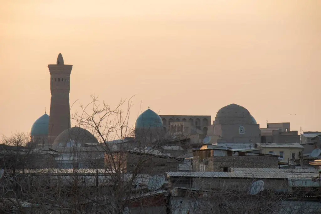 Bukhara Zaringiz PREMIUM