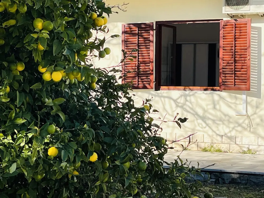 Beachfront Apartment Drazen, With Patio & Parking