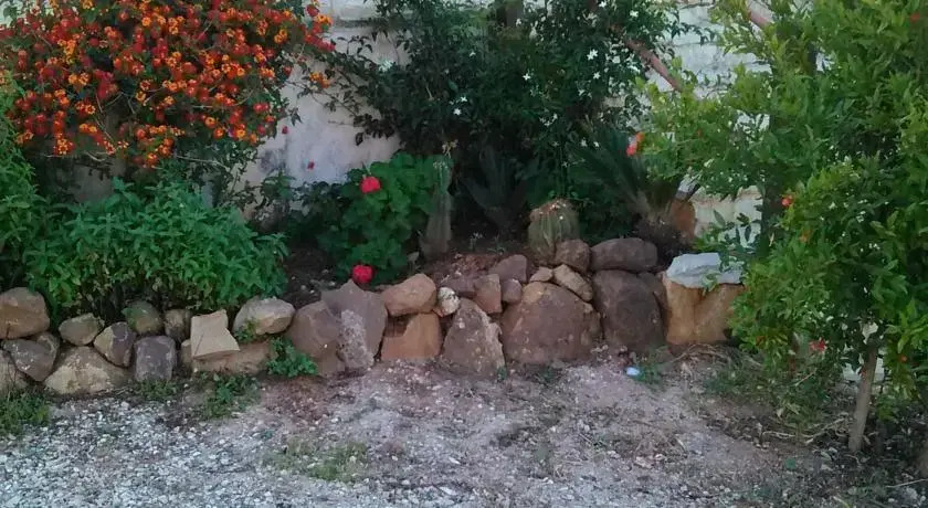 Il Cavaliere