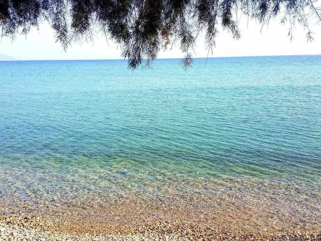 Defne Apart Otel - Datça