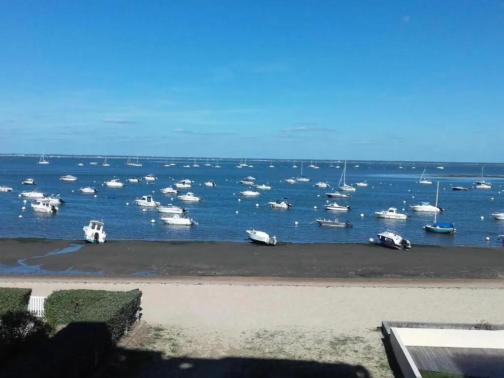 Appartement Arcachon, 1 pièce, 4 personnes - FR-1-319-71