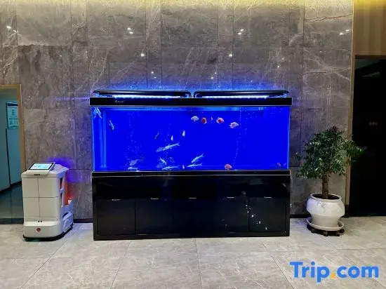 H Hotel (Wanda Plaza Chifeng University Store)