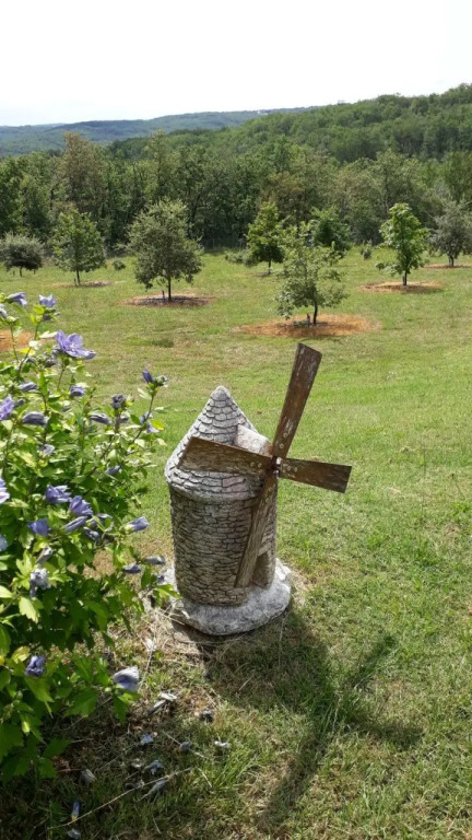 Coteaux de Braules