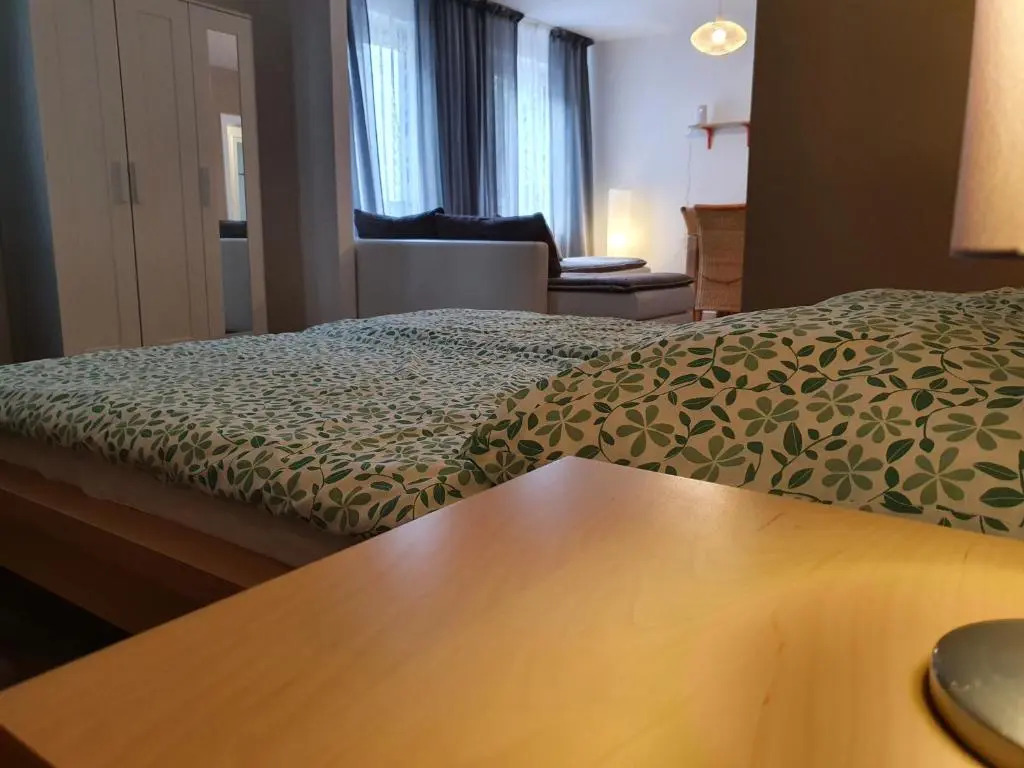Rhein Living Apartment - Balkon und Rheinpromenade