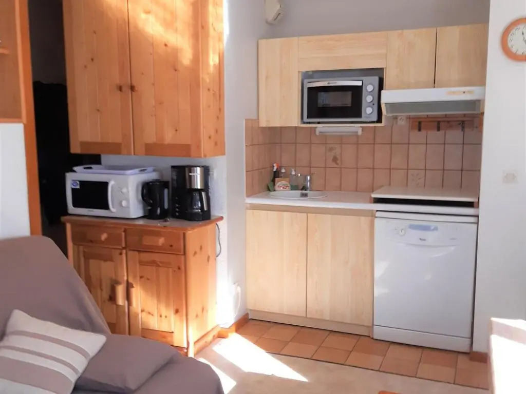 Appartement Chamonix-Mont-Blanc, 2 pièces, 4 personnes - FR-1-517-61
