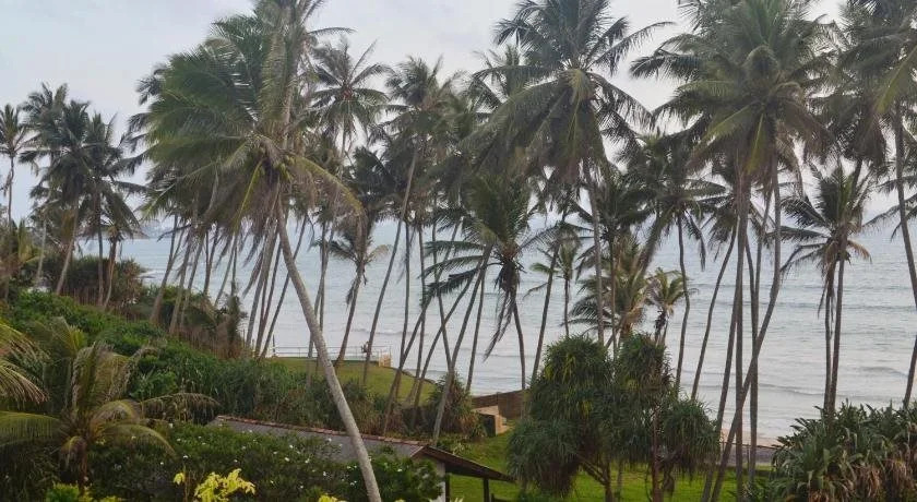 Surf Lanka Hotel