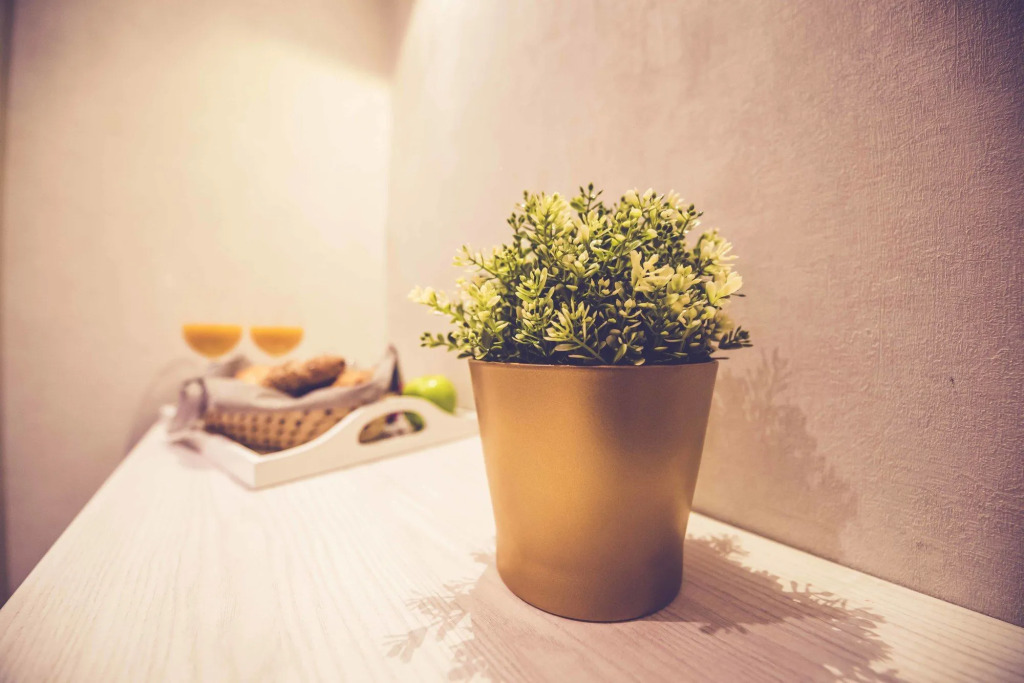 Hostal Lisboa