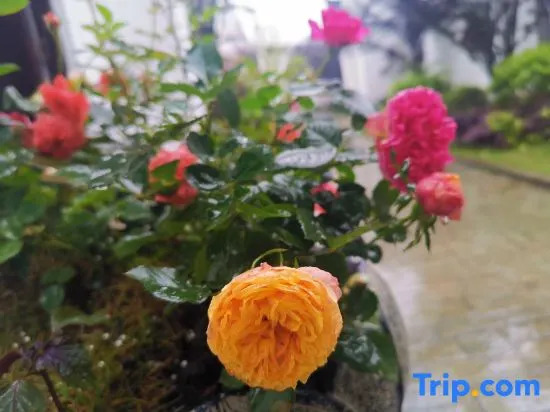 Yongzhou Xiaoxiang Xuyuan Homestay