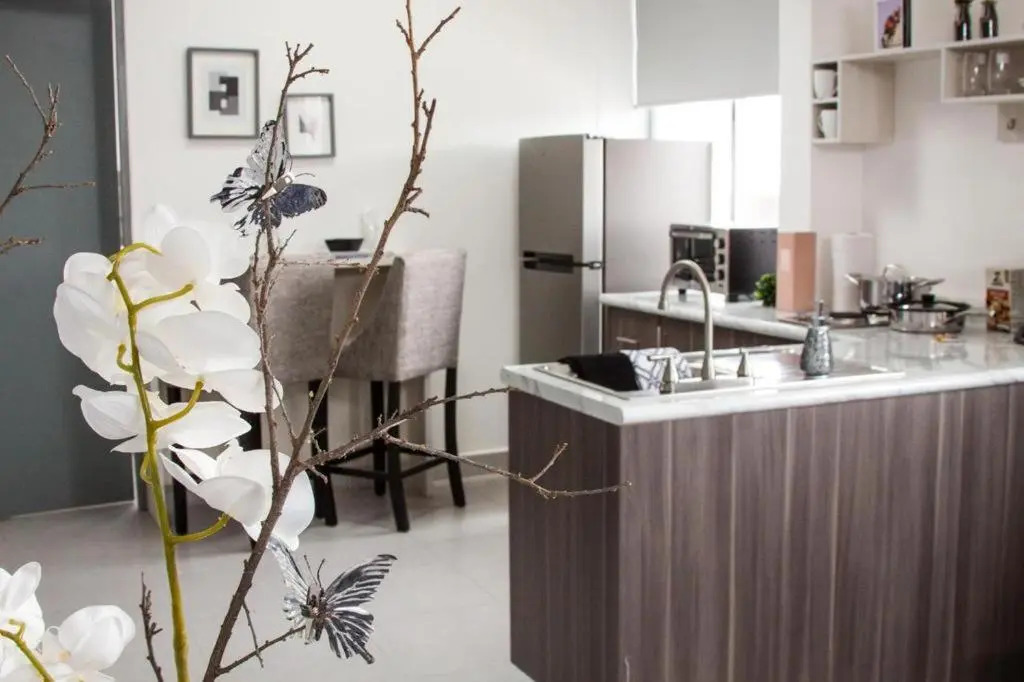 Suites André Confort Ejecutivo