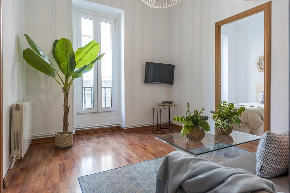 Apartamento Catedral de la Almudena II