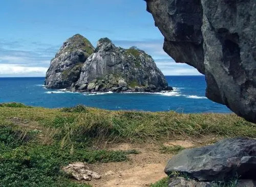 Casas Noronha Boldró Home