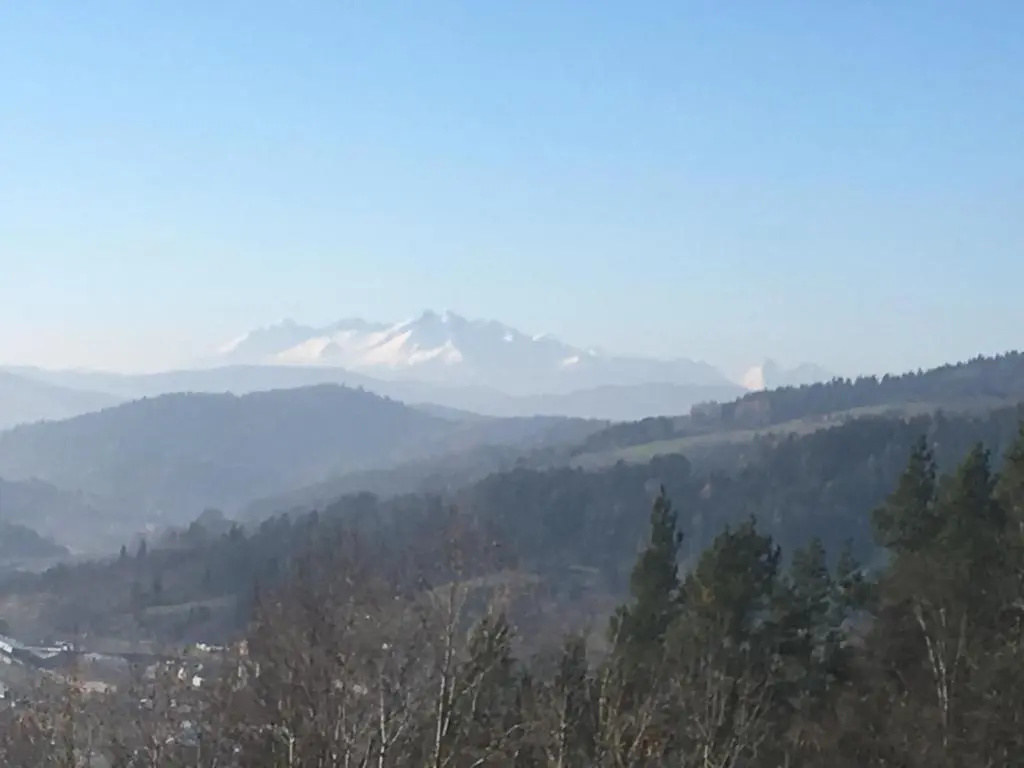 Powroźnik 94
