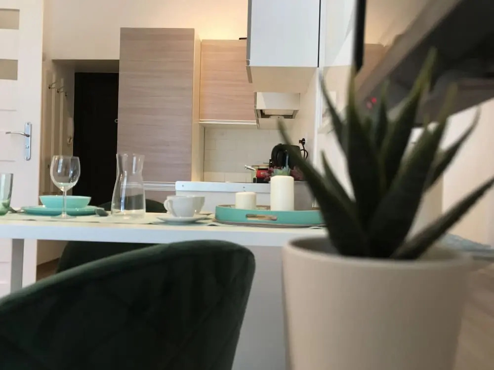 WS Sauna Apartments