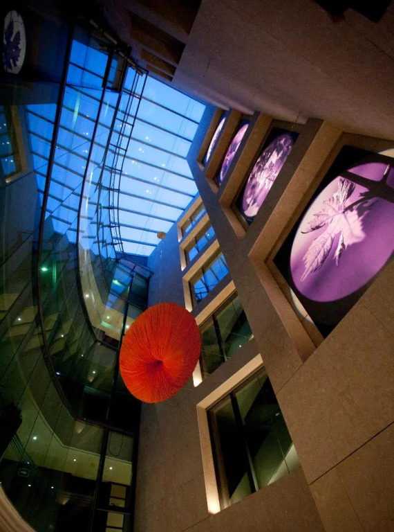Nexus Valladolid Suites & Hotel