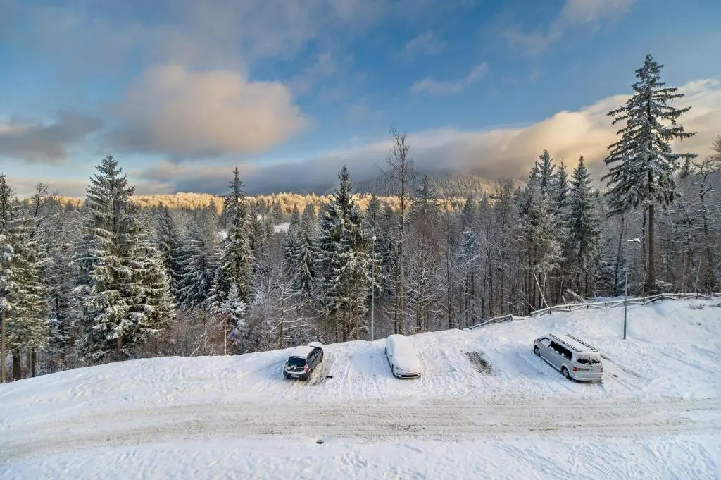 Silver Sunrise studio in Silver Mountain