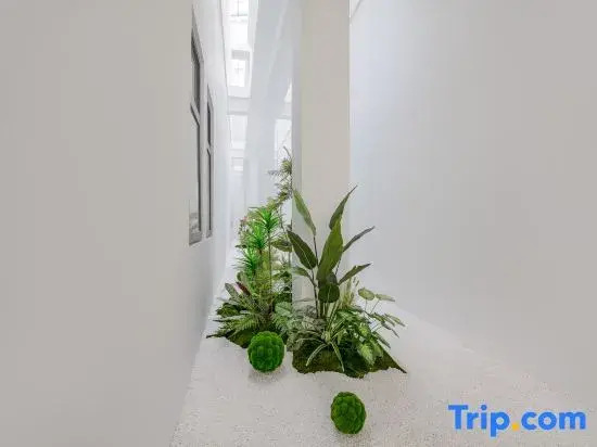 Starway Hotel (Xi'an Railway Station North Square Hanyuan Hall Subway Station)