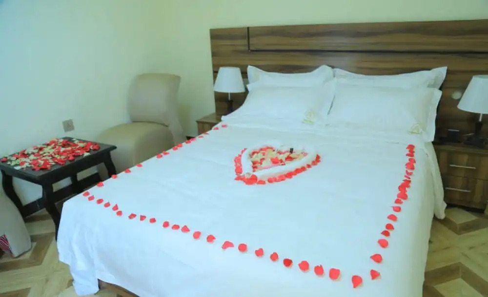 New Vision Addis Hotel