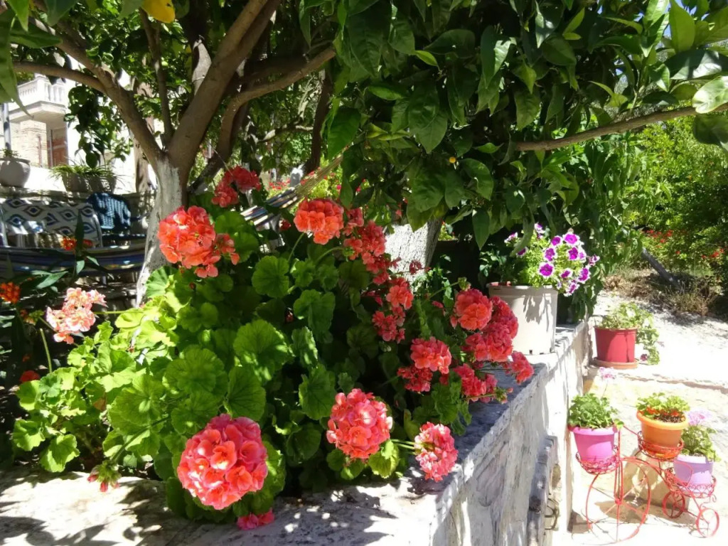 Studios Ristas Kostas