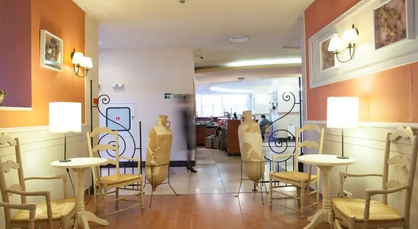 Ibis Constanta