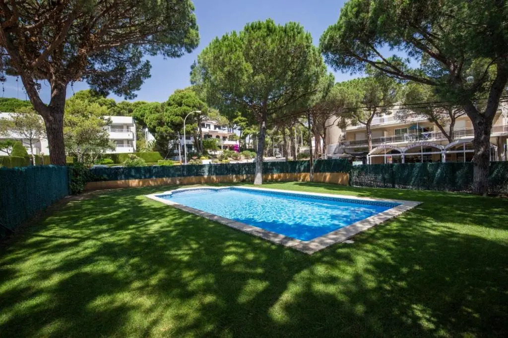 Calsina Bax 2h