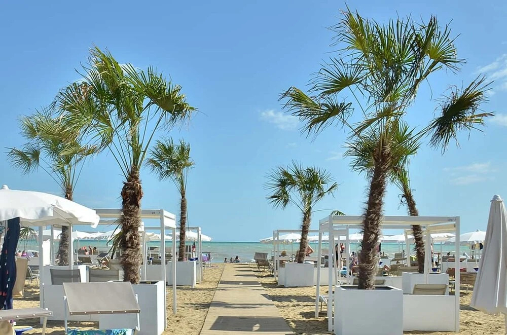 Inviting Calm and Bright Flat Near the Beach