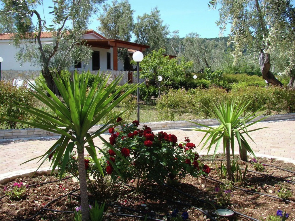 Comfortable apartment with AC, in a national park