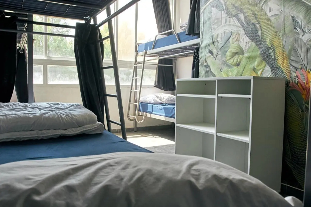 Jungle Jaffa Hostel Age 18 to 45