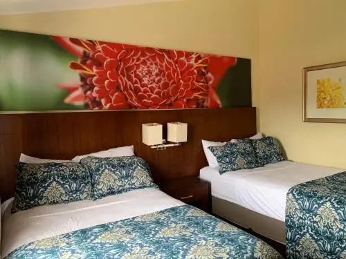 Jaco Sol Quadplex 11A