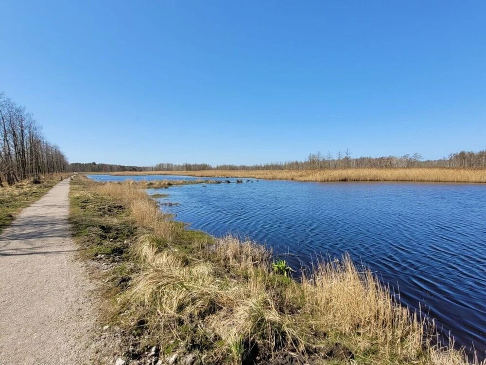 Hustadt in the Heart of Zingst