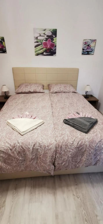 Lilikoi Apartment