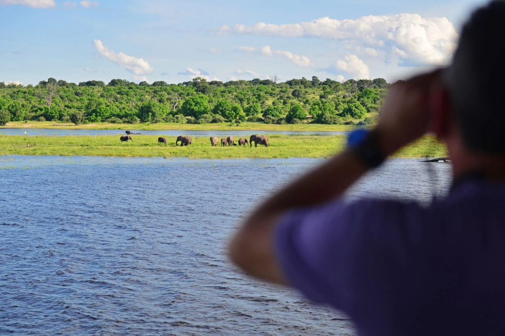 Zambezi Queen by Mantis