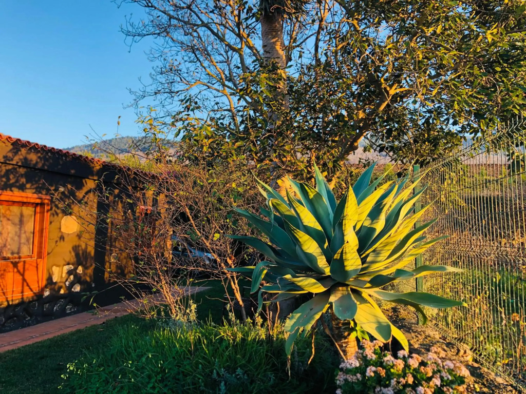 Casa Rural Doña Herminda
