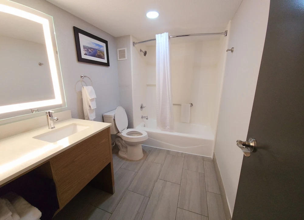 Best Western Plus Mobile Inn and Suites