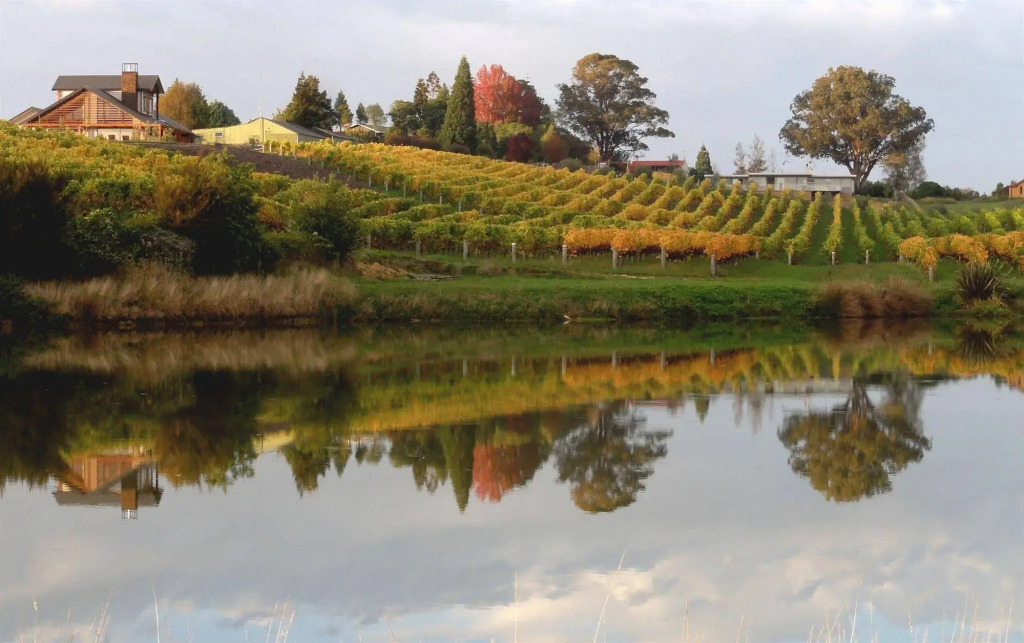 Pine Hill Lodge In Vineyard