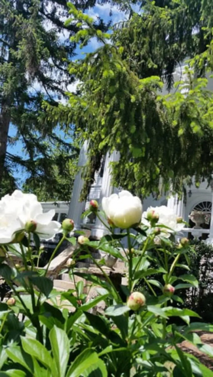 Albemarle Inn - Asheville