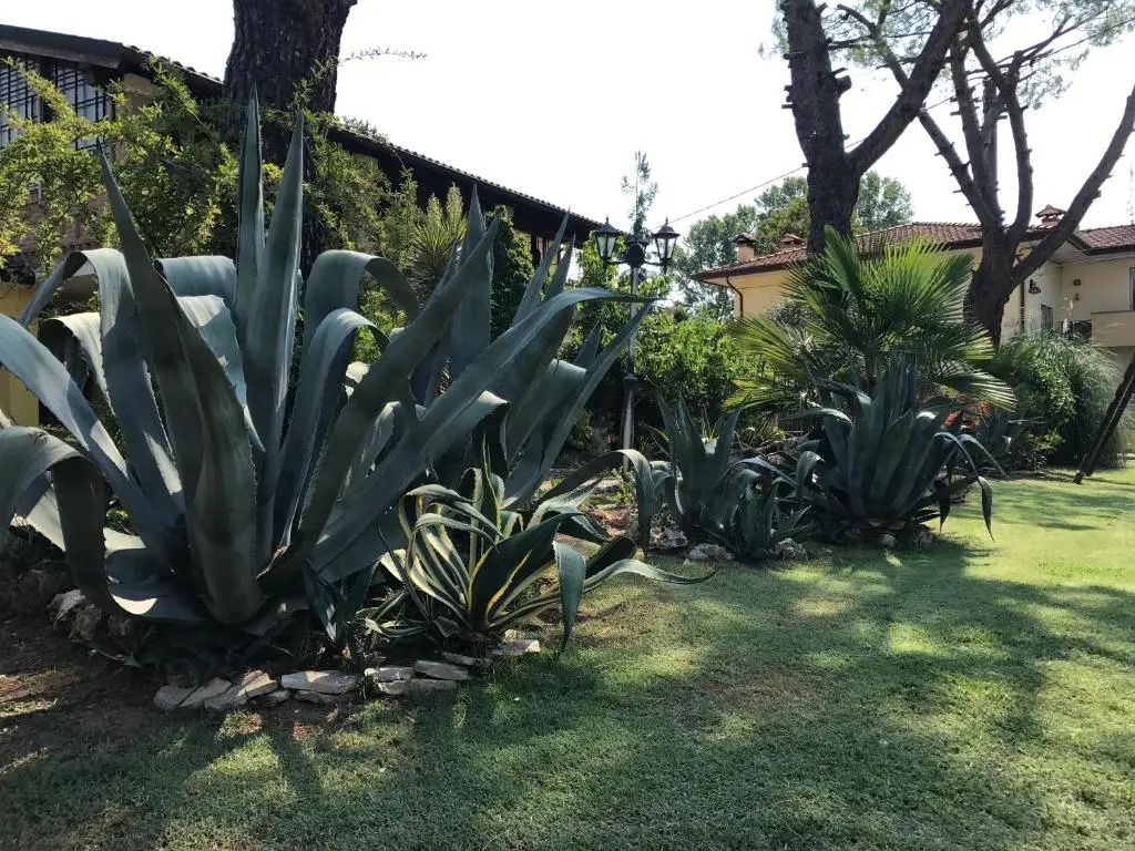 Casa Algisa