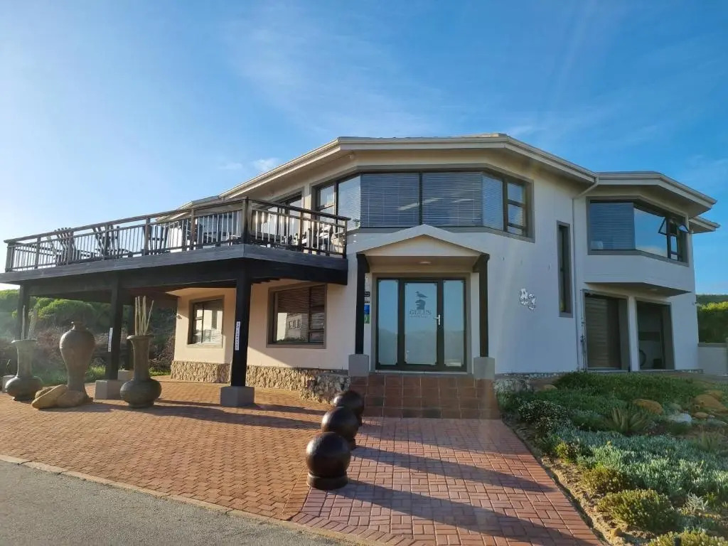 Gull's Stilbaai