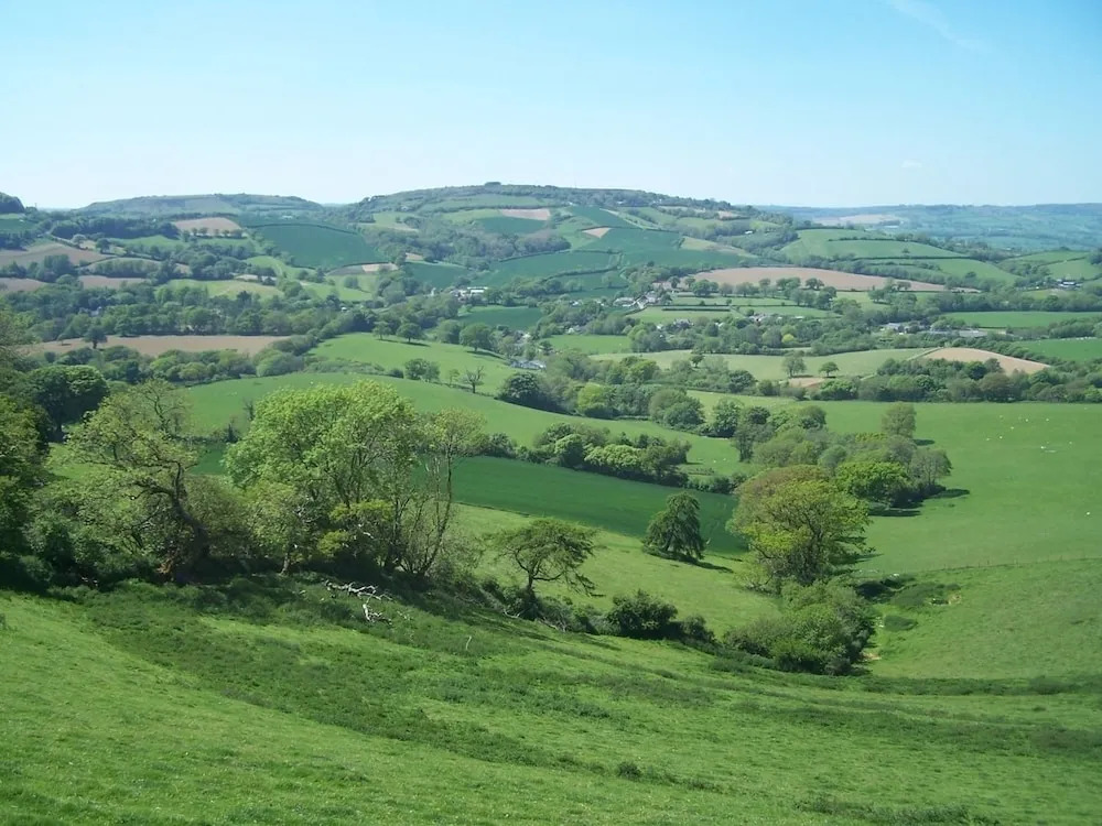 West Perry Hay, Bridport