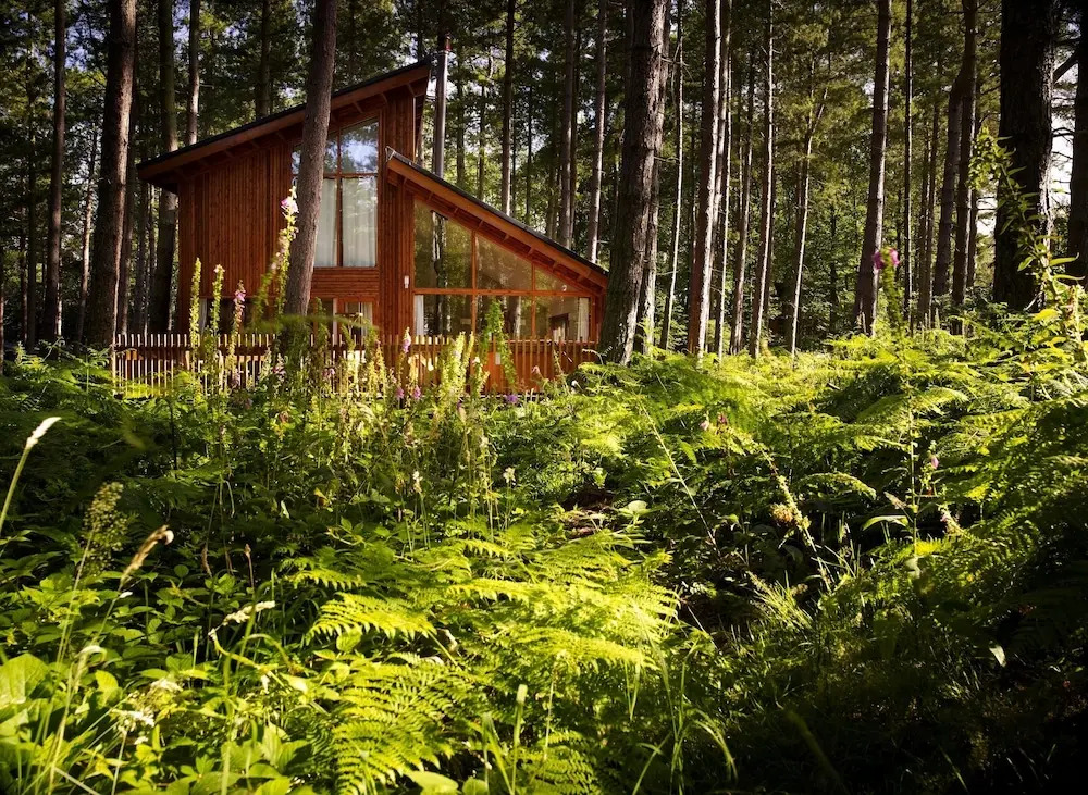 Sherwood Forest Cabins - Forest Holidays