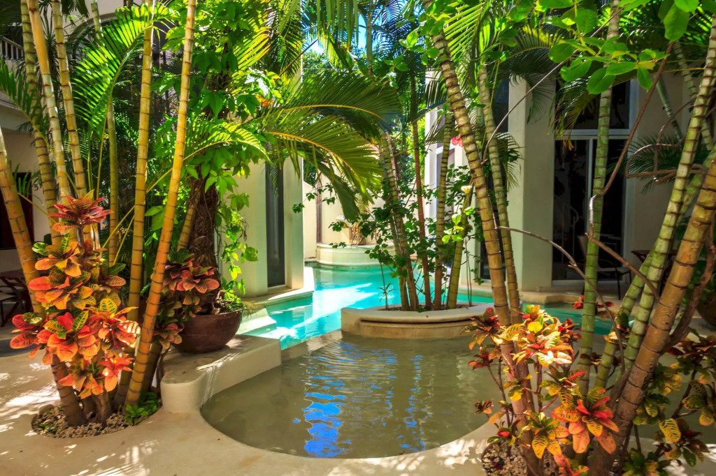 Royal Palms by BVR