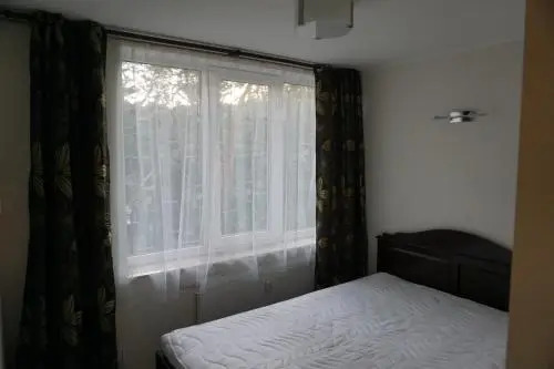 Downtown Apartaments