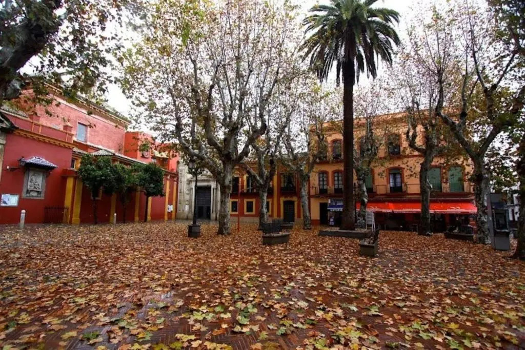 A2 Centro Sevilla Pgb - Museo- Gran Poder -Alameda