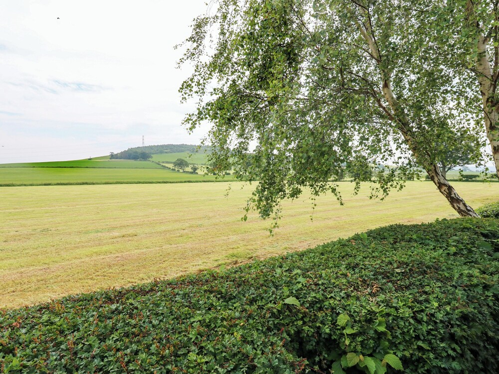 12 Field View