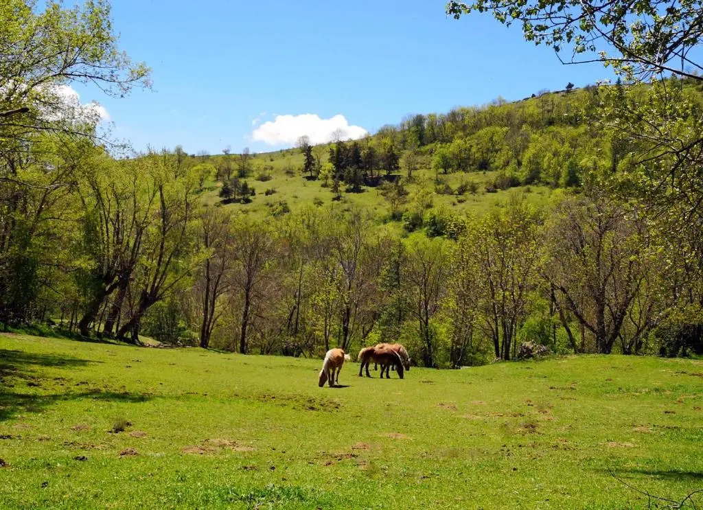 FONT ROMEU - Via I