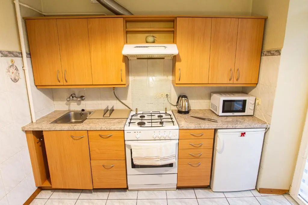 Spacious 2 Room Apart In A Historic Laisves Avenue